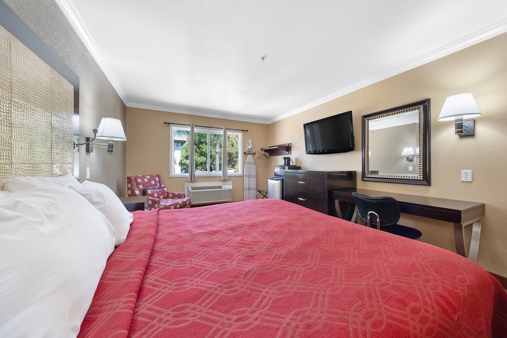 1 King Bed