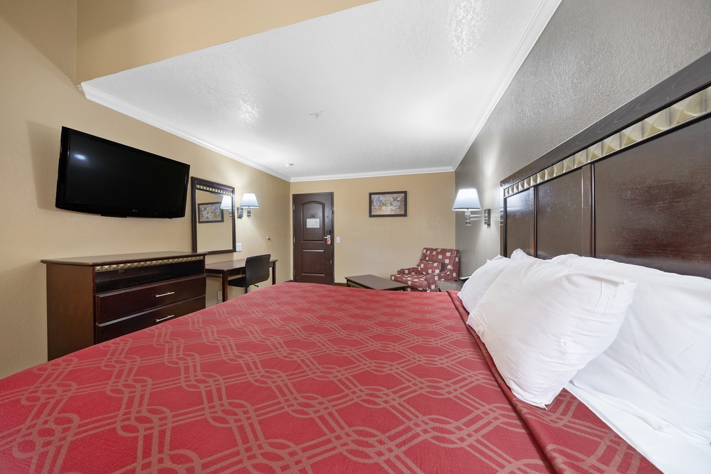 1 King Bed